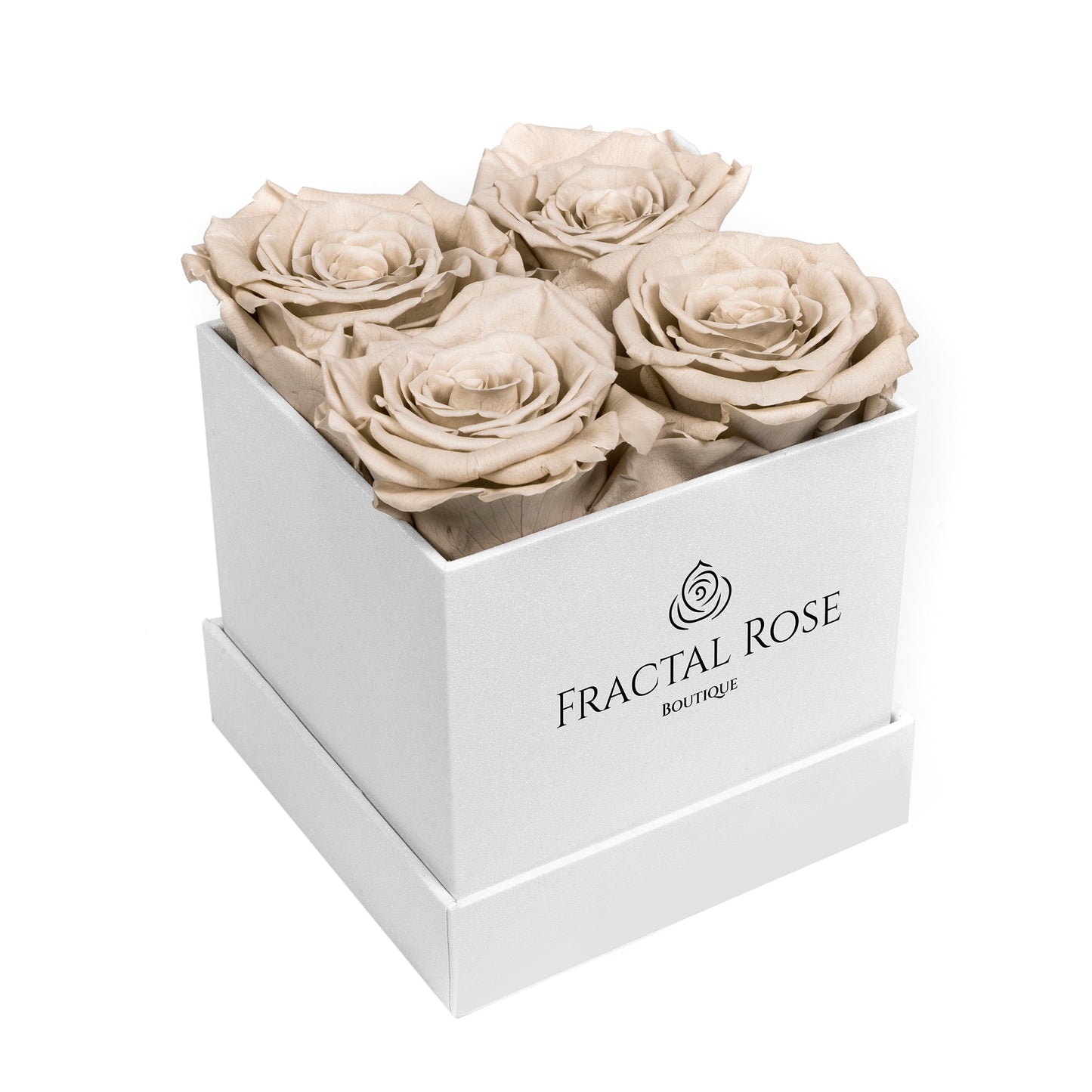 Mini Fractal Box - Modern Square Box - 4 Preserved Roses - Elegance and Charm - Captivating Floral Arrangement - Fractal Rose Collection