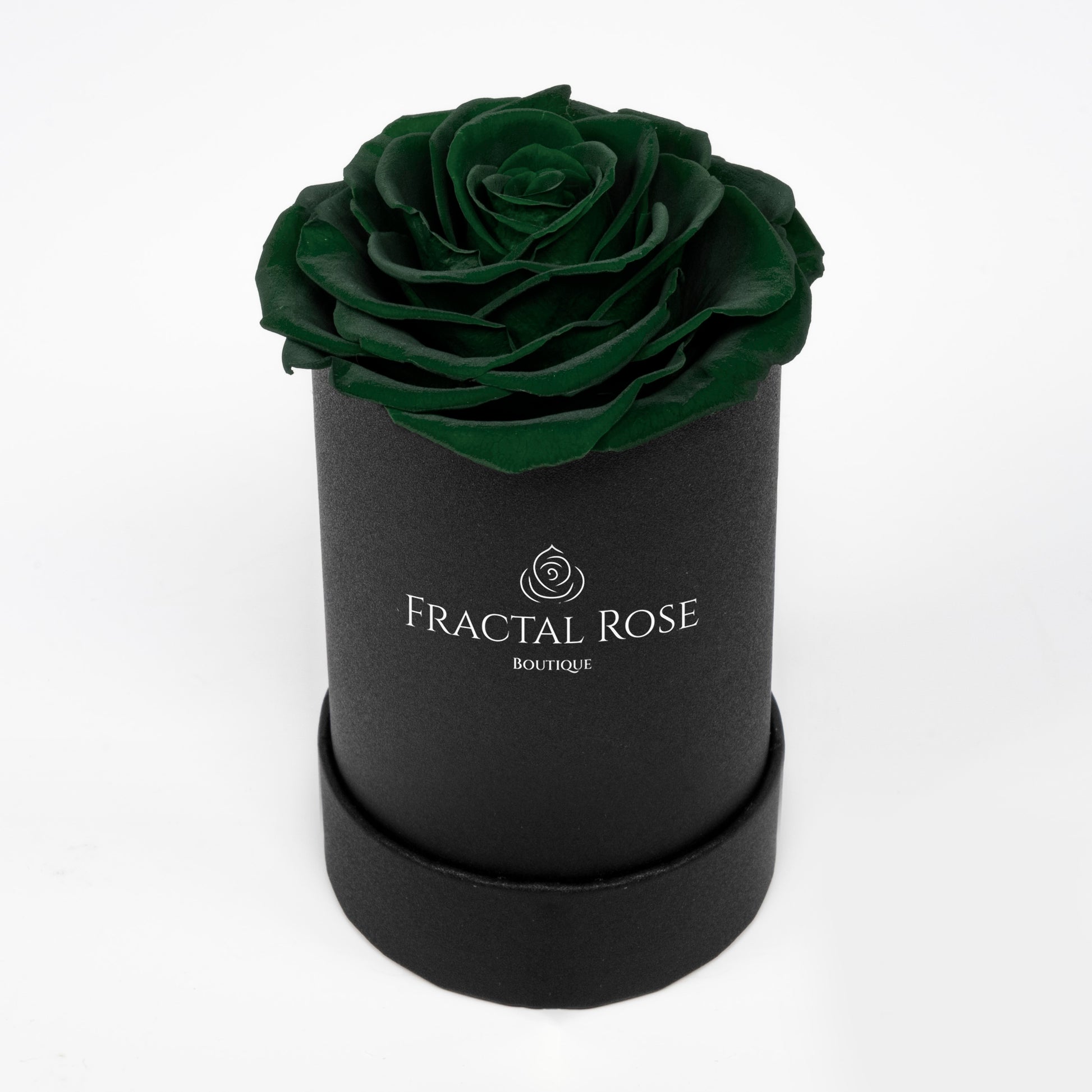 Le Mini Rose - Petite Preserved Rose - Round Box - Single Eternal Rose - Grace and Simplicity - Timeless Beauty - Fractal Rose Collection