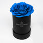 Le Mini Rose - Petite Preserved Rose - Round Box - Single Eternal Rose - Grace and Simplicity - Timeless Beauty - Fractal Rose Collection