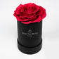 Le Mini Rose - Petite Preserved Rose - Round Box - Single Eternal Rose - Grace and Simplicity - Timeless Beauty - Fractal Rose Collection