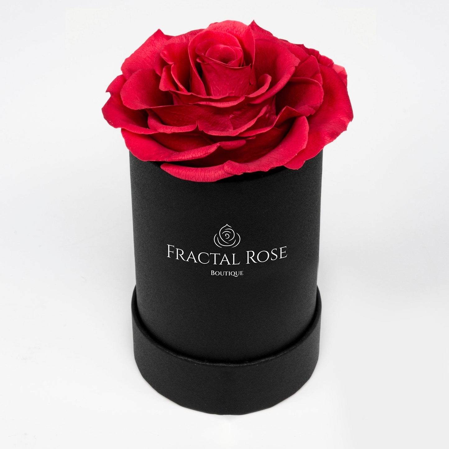 Le Mini Rose - Petite Preserved Rose - Round Box - Single Eternal Rose - Grace and Simplicity - Timeless Beauty - Fractal Rose Collection