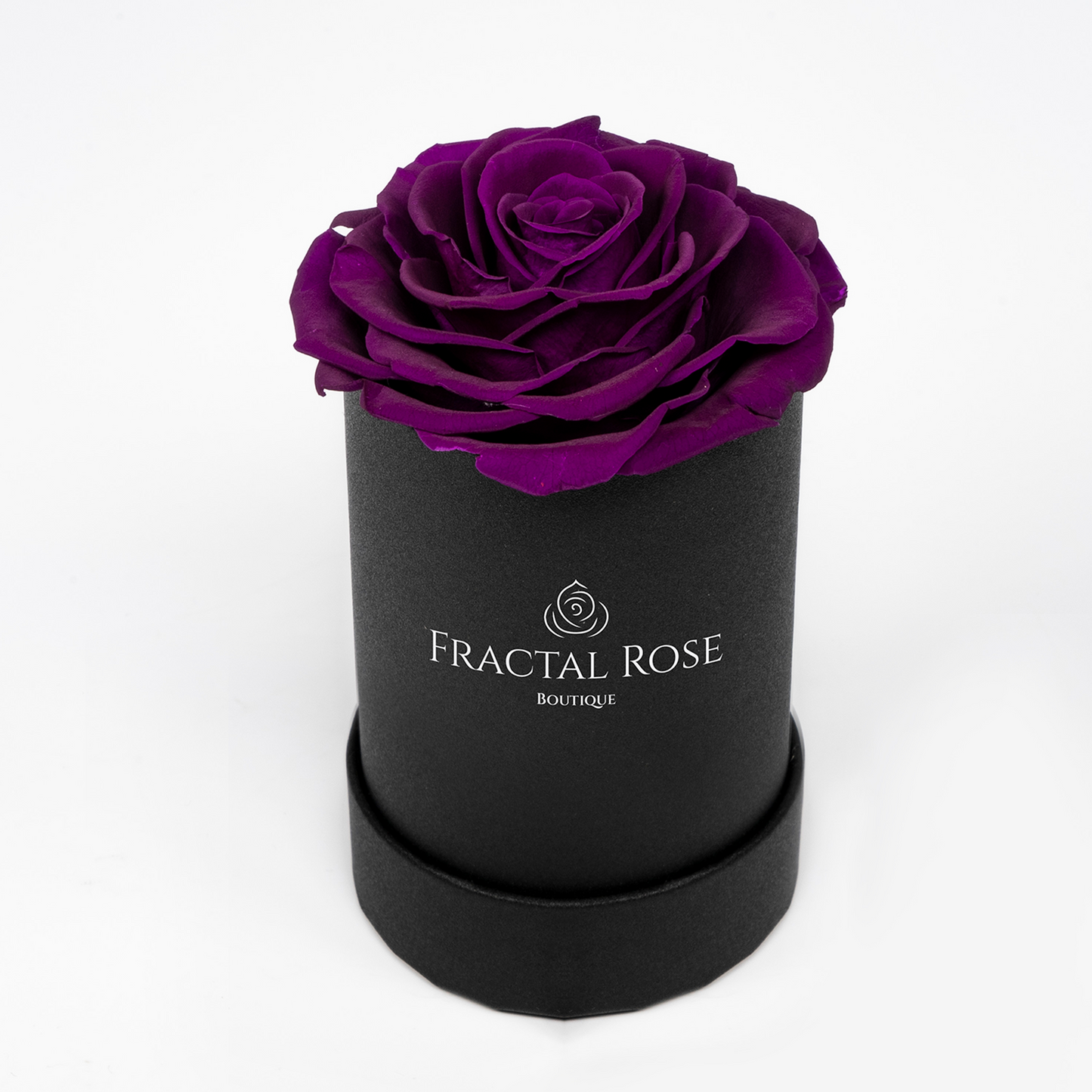 Le Mini Rose - Petite Preserved Rose - Round Box - Single Eternal Rose - Grace and Simplicity - Timeless Beauty - Fractal Rose Collection