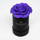 Le Mini Rose - Petite Preserved Rose - Round Box - Single Eternal Rose - Grace and Simplicity - Timeless Beauty - Fractal Rose Collection