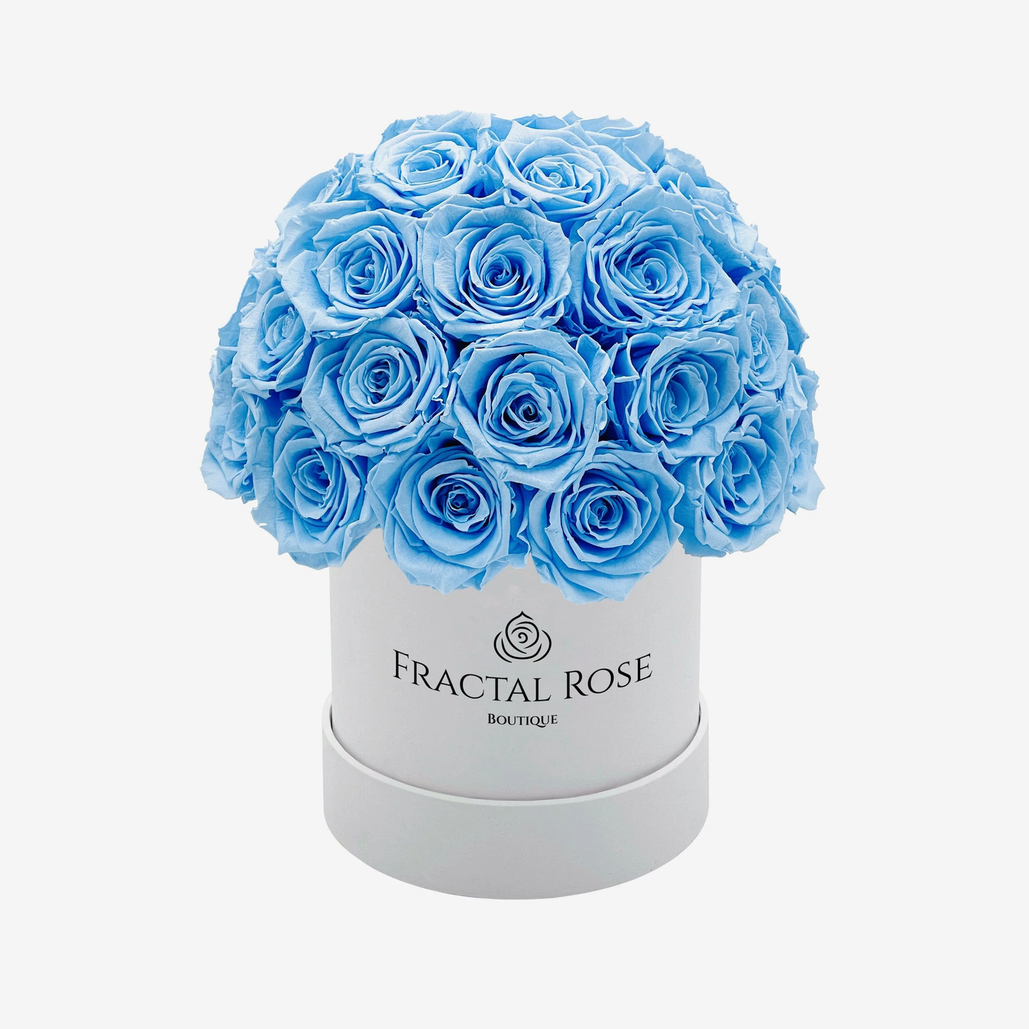 Le Majestic White Box - Luxury Preserved Roses - Circular Box - 20-25 Eternal Roses - Elegance and Grandeur - Opulent Floral Arrangement - Fractal Rose Collection